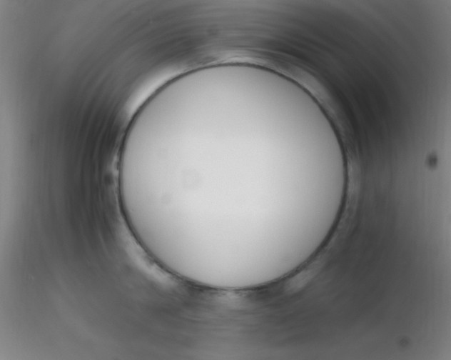 X0000116290814200912211839