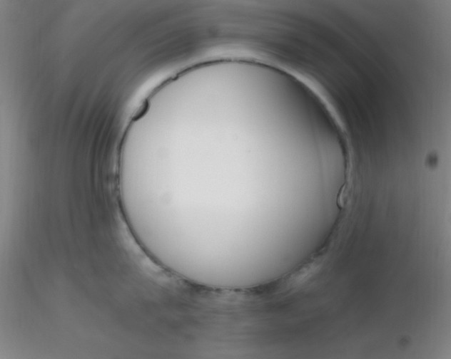 X0000116290815200912211839