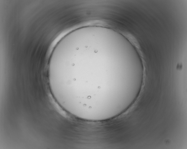 X0000116290816200912211839