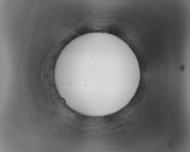 X0000116290817200912211838