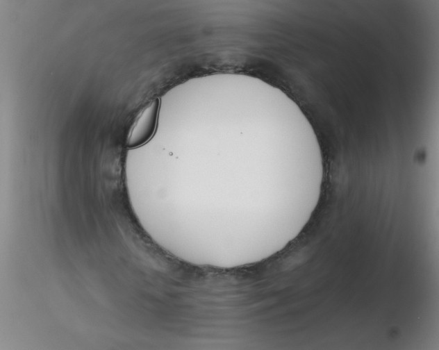 X0000116290818200912211838