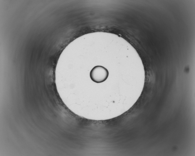 X0000116290820200912211838