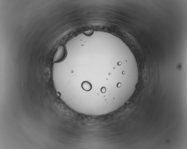 X0000116290821200912211838