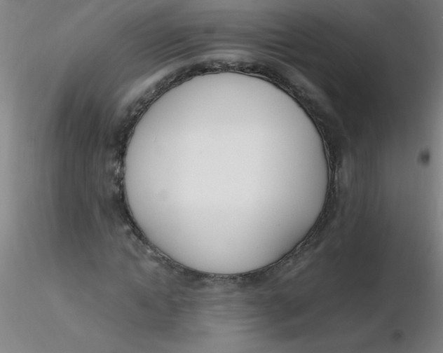 X0000116290822200912211838