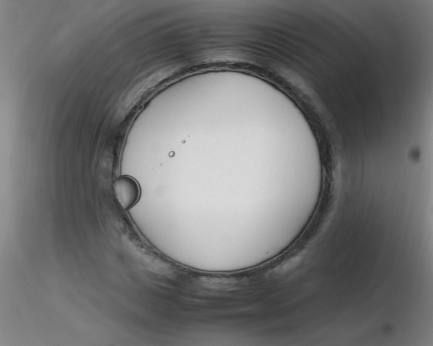 X0000116290825200912211839