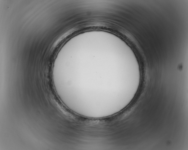 X0000116290826200912211839