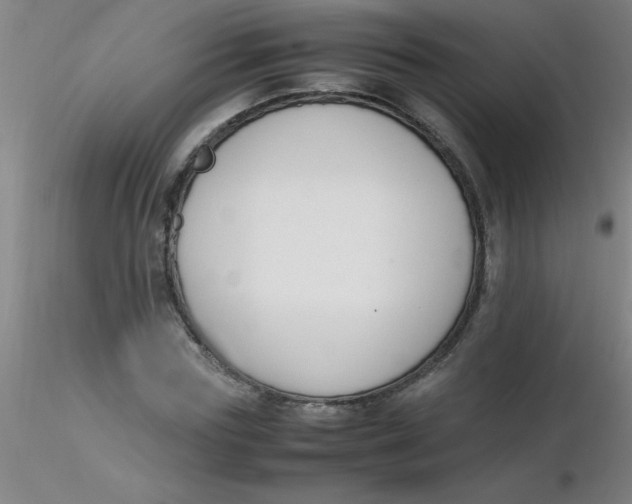 X0000116290827200912211839