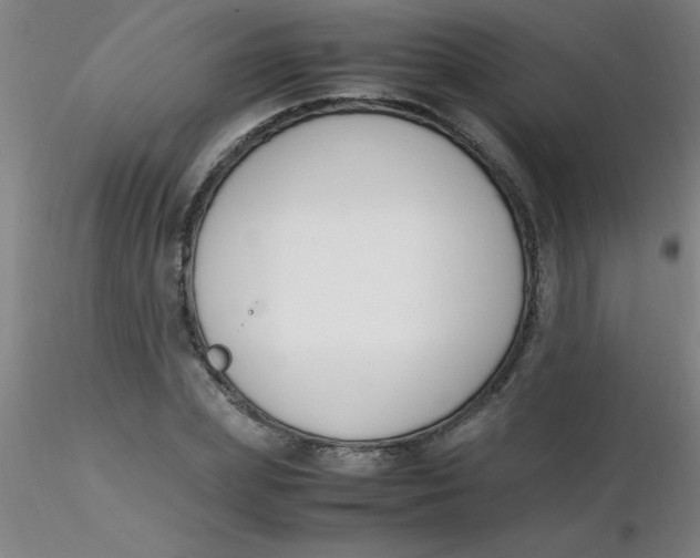 X0000116290831200912211839