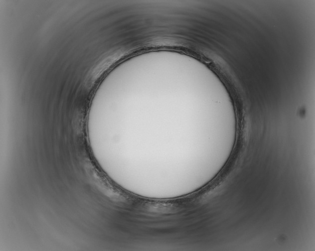 X0000116290833200912211839