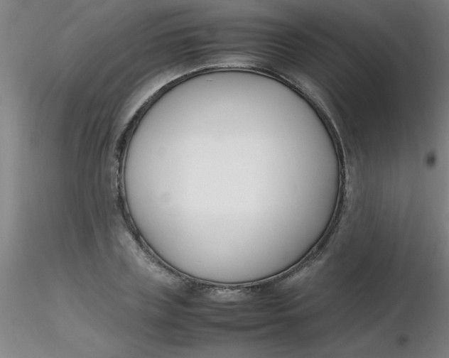 X0000116290835200912211839