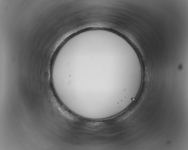 X0000116290837200912211839