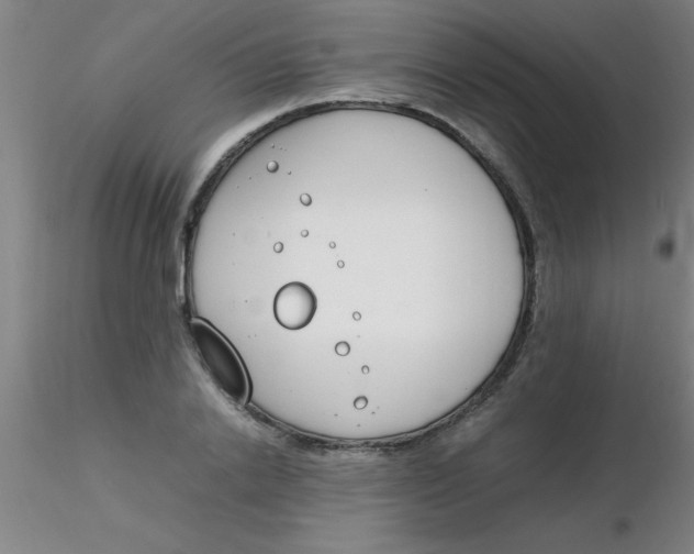 X0000116290838200912211839