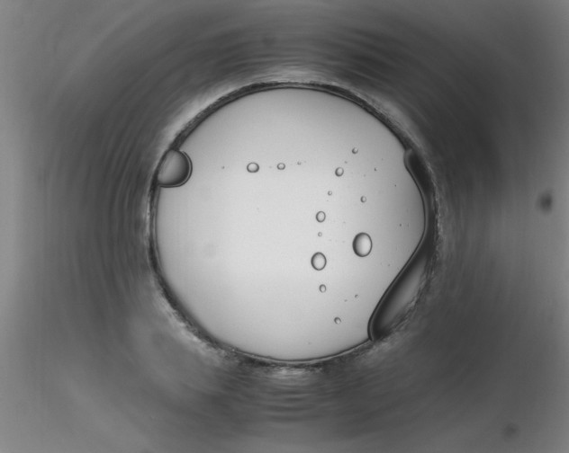 X0000116290839200912211839