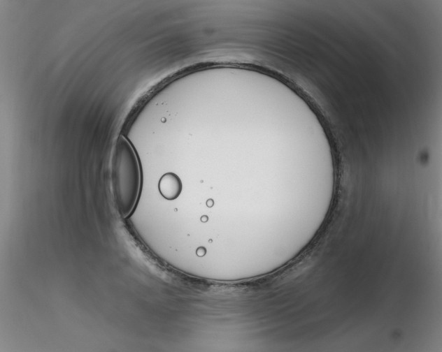 X0000116290840200912211839