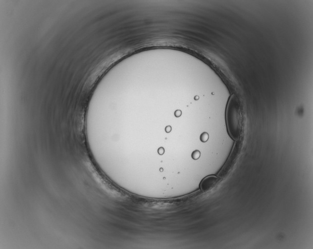 X0000116290841200912211839