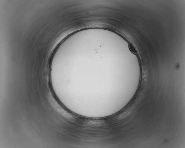 X0000116290843200912211839