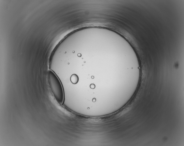 X0000116290844200912211839