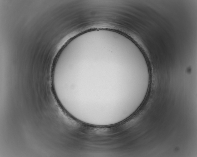 X0000116290845200912211839