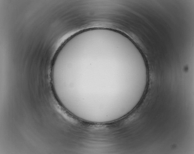 X0000116290846200912211839