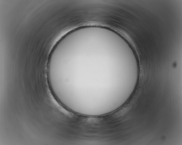 X0000116290847200912211839