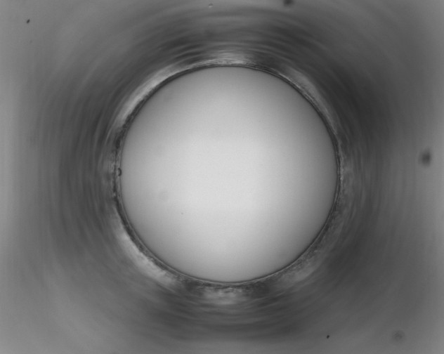 X0000116290851200912211839