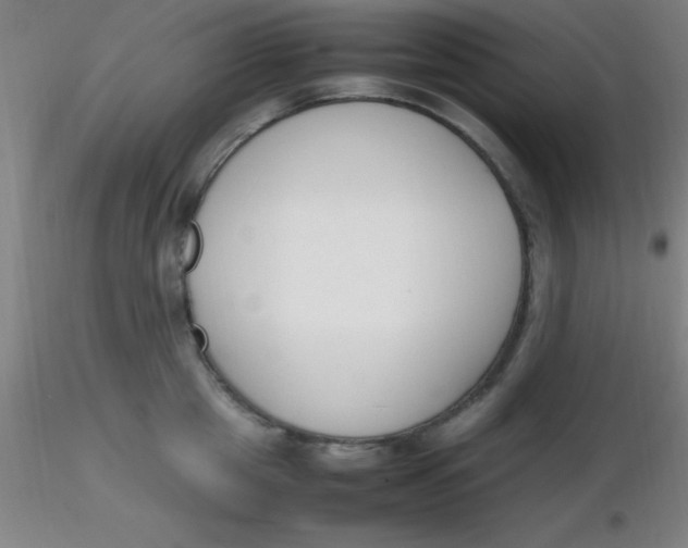 X0000116290857200912211839