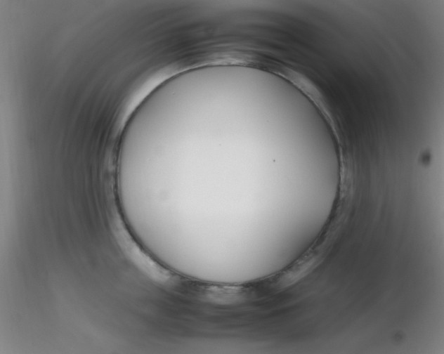 X0000116290859200912211839