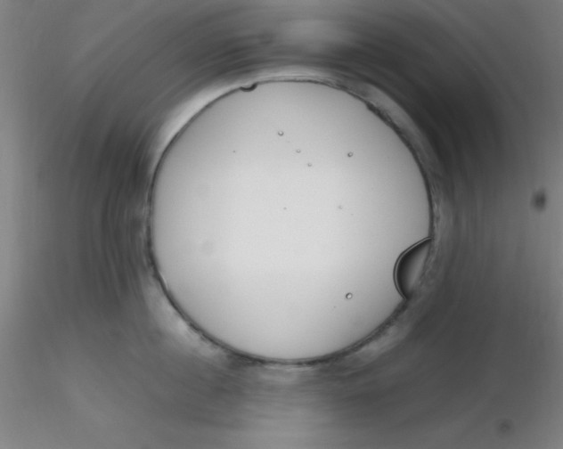 X0000116290860200912211839