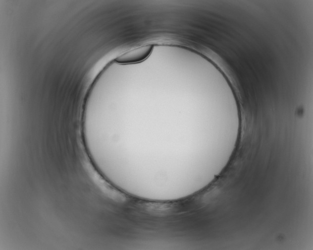 X0000116290861200912211839