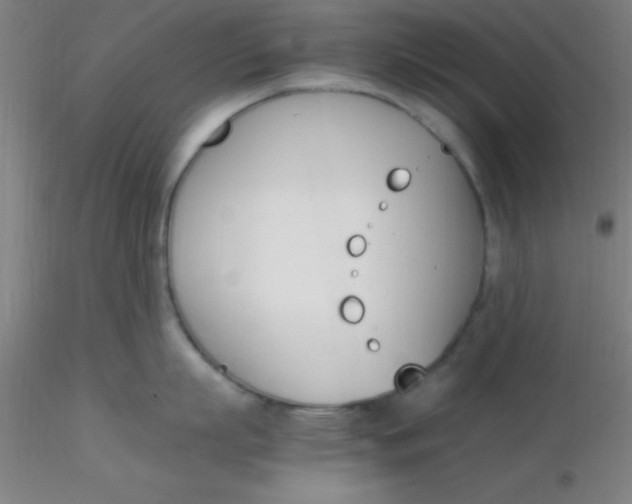 X0000116290863200912211839