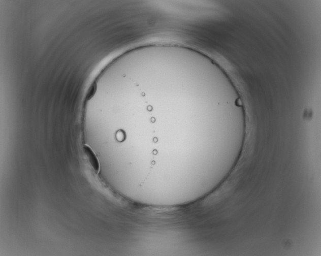 X0000116290864200912211839