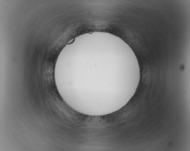 X0000116290866200912211838