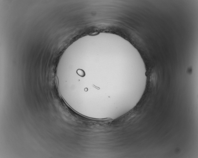 X0000116290868200912211838