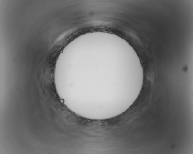 X0000116290869200912211838