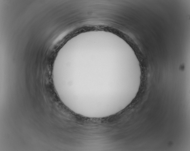 X0000116290871200912211838