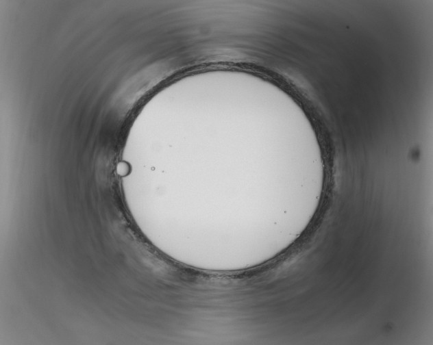 X0000116290873200912211838