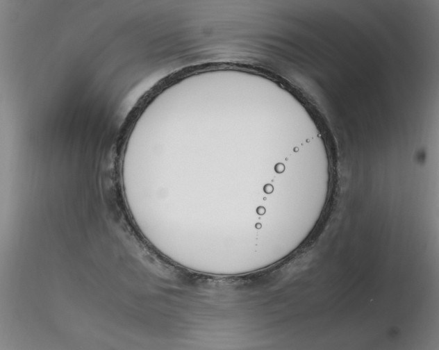 X0000116290875200912211838