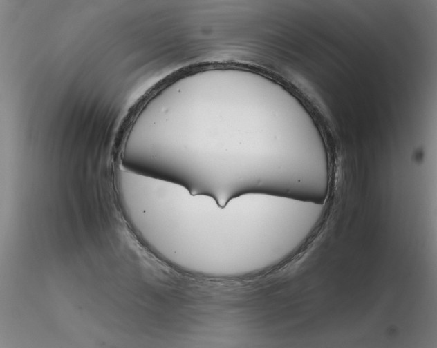 X0000116290876200912211838