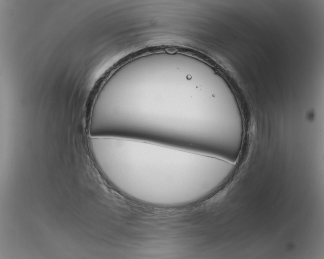 X0000116290877200912211838