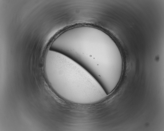 X0000116290878200912211838