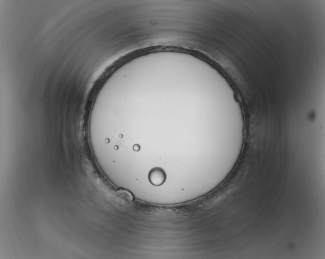 X0000116290880200912211838