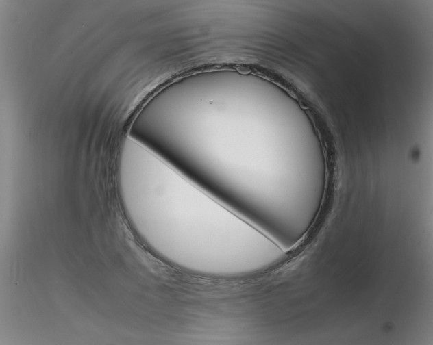 X0000116290881200912211838