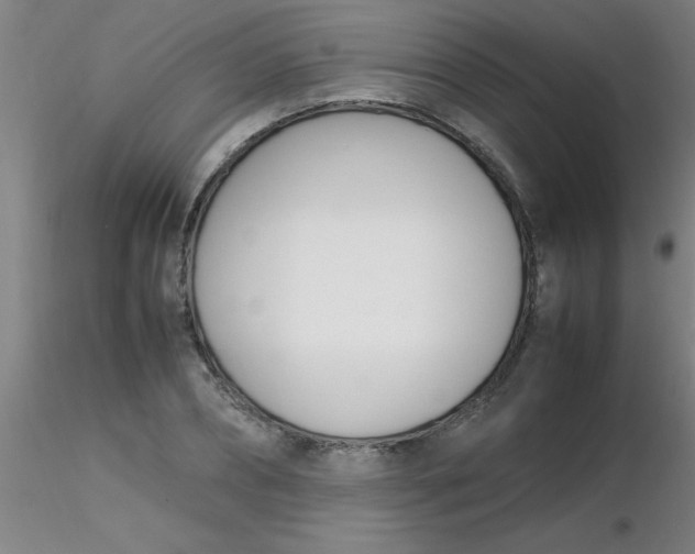 X0000116290882200912211838