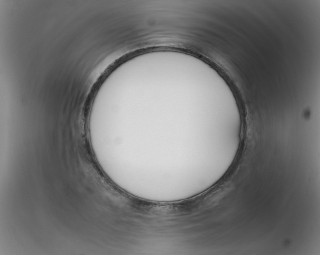 X0000116290883200912211838