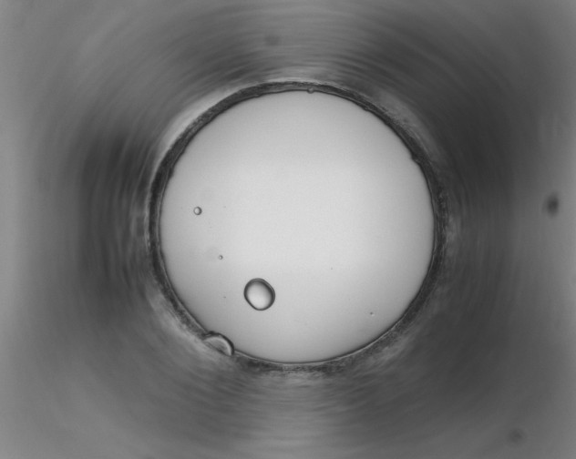 X0000116290884200912211838