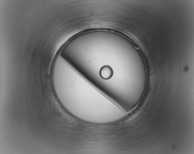 X0000116290885200912211838