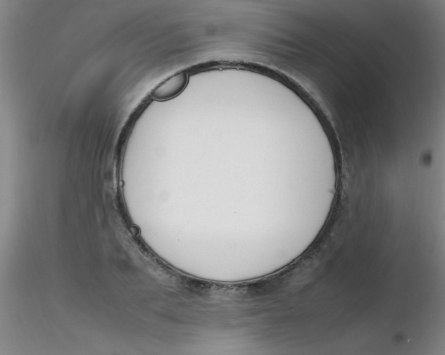 X0000116290887200912211838