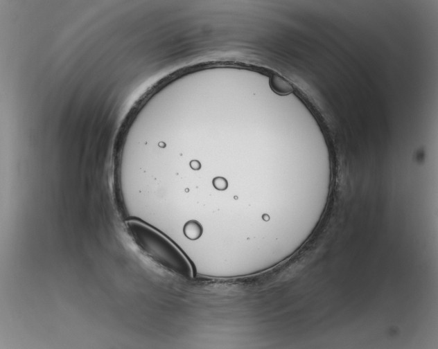 X0000116290888200912211838