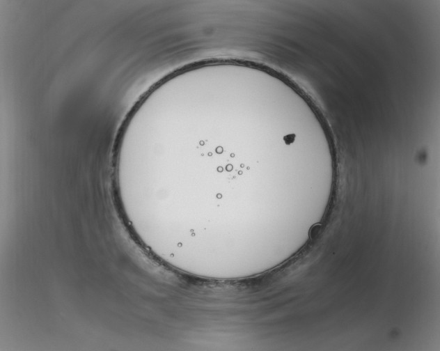 X0000116290895200912211838