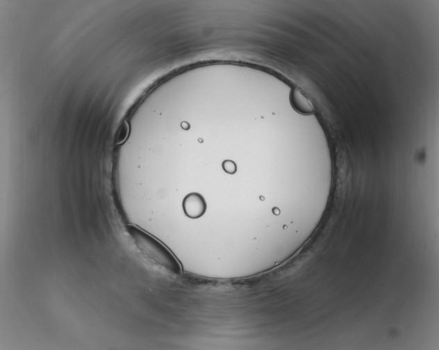 X0000116290896200912211838